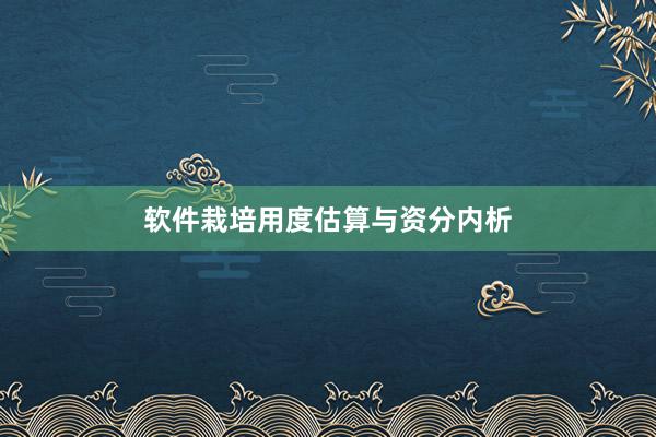 软件栽培用度估算与资分内析