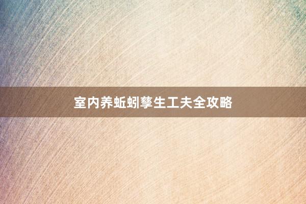 室内养蚯蚓孳生工夫全攻略